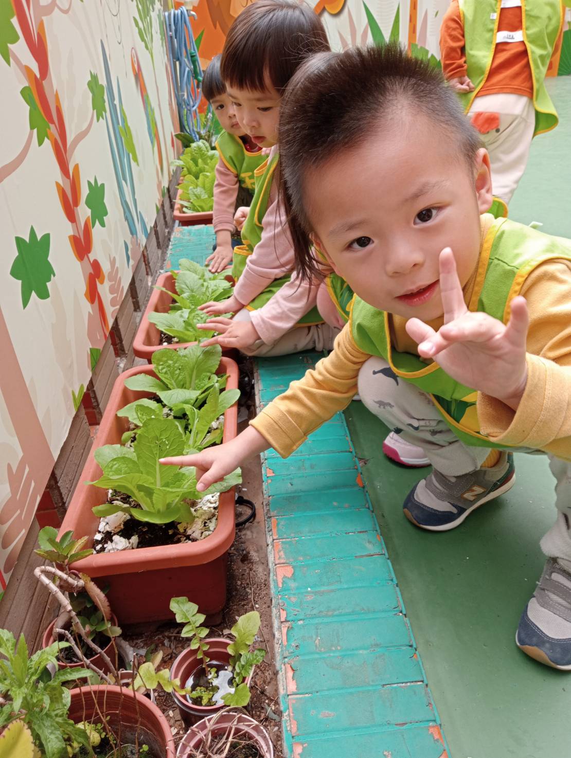113下學期幼幼班生活分享