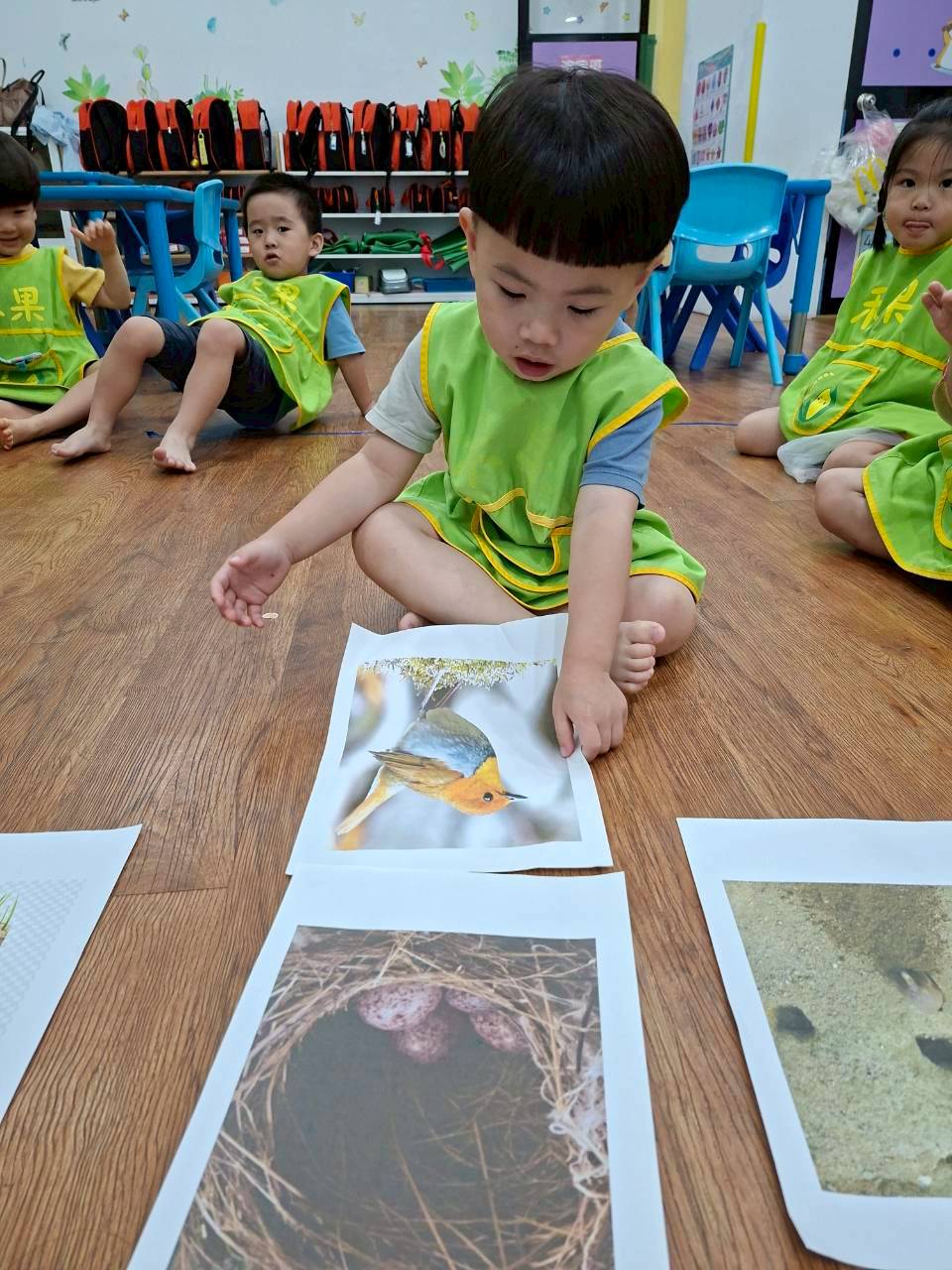 114下學期幼幼班生活分享