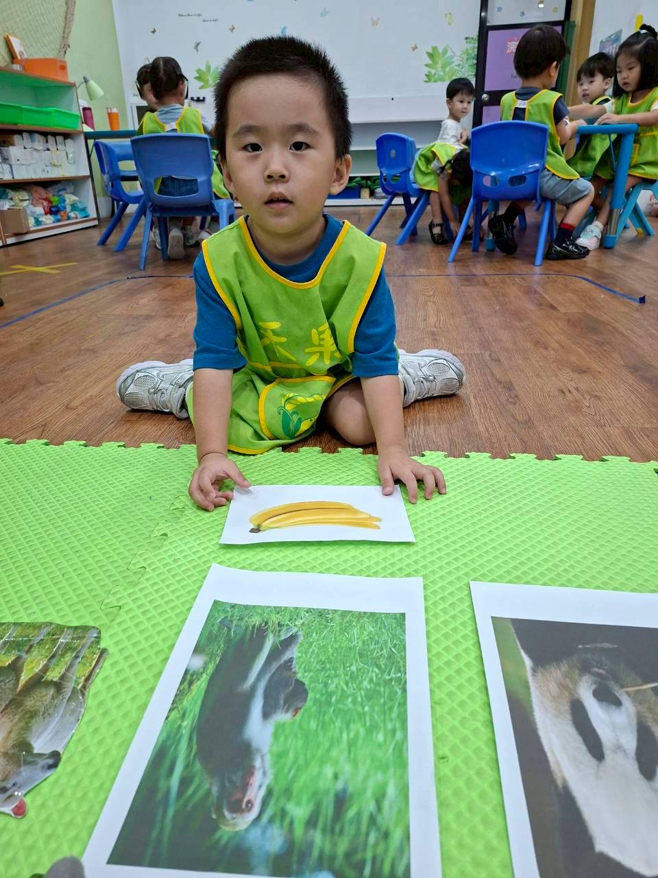 114下學期幼幼班生活分享