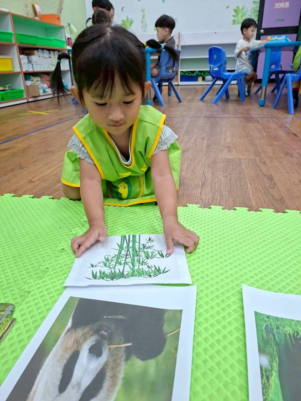 114下學期幼幼班生活分享