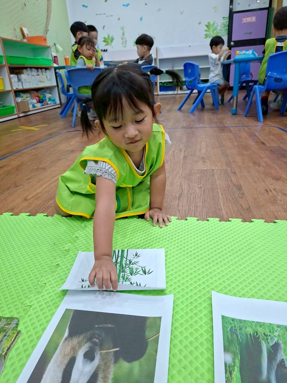 114下學期幼幼班生活分享