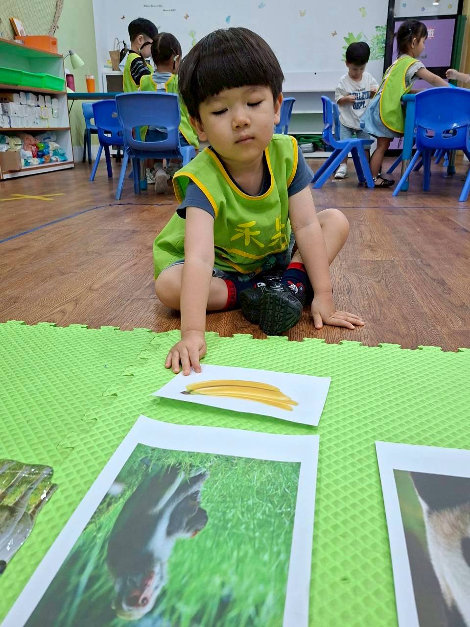114下學期幼幼班生活分享