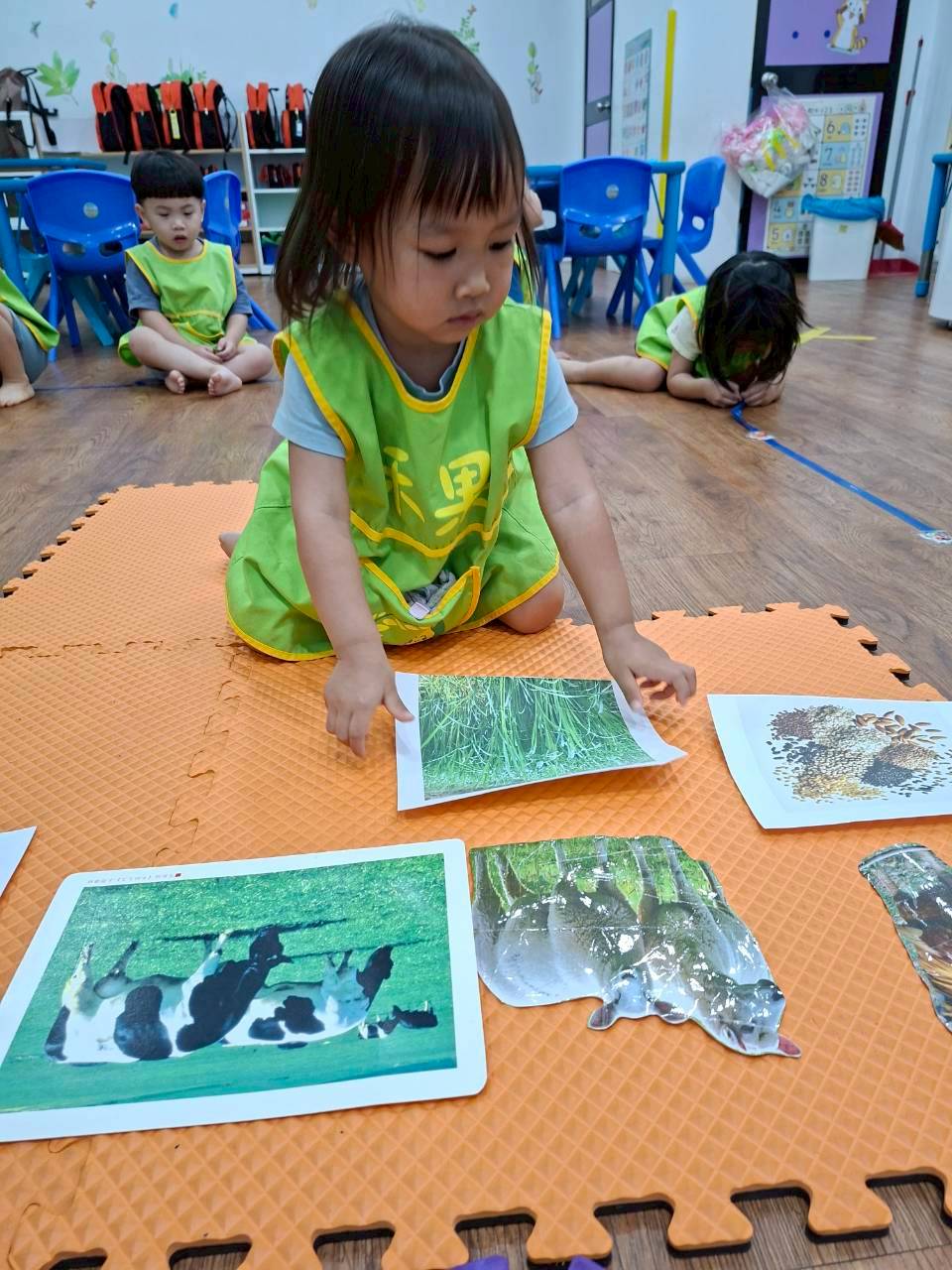114下學期幼幼班生活分享