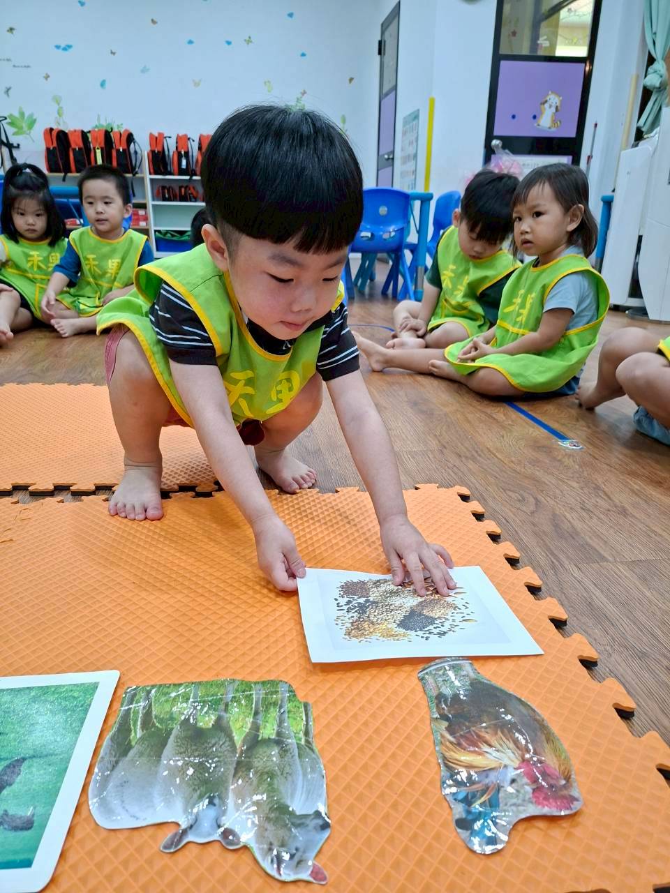 114下學期幼幼班生活分享