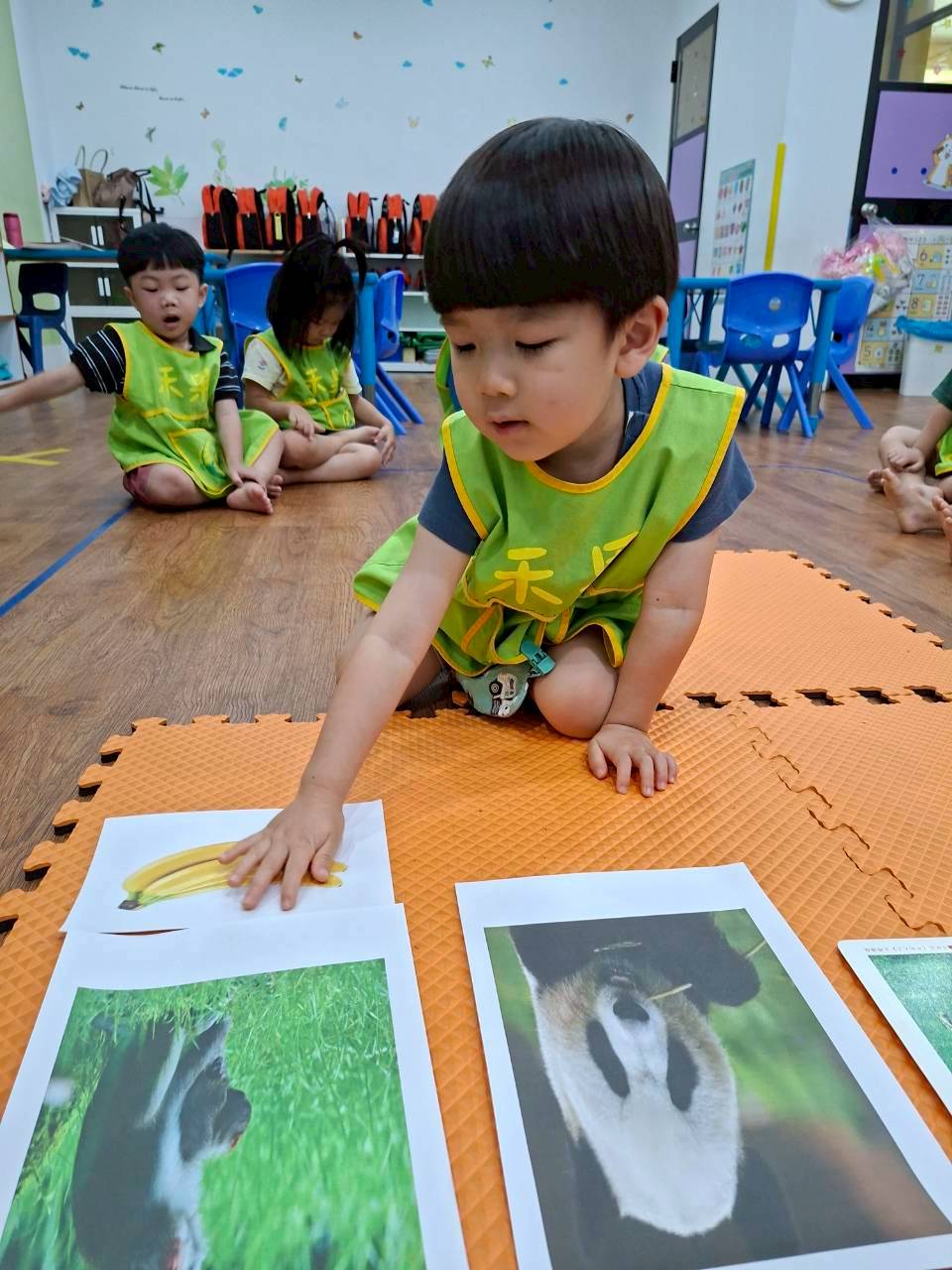114下學期幼幼班生活分享