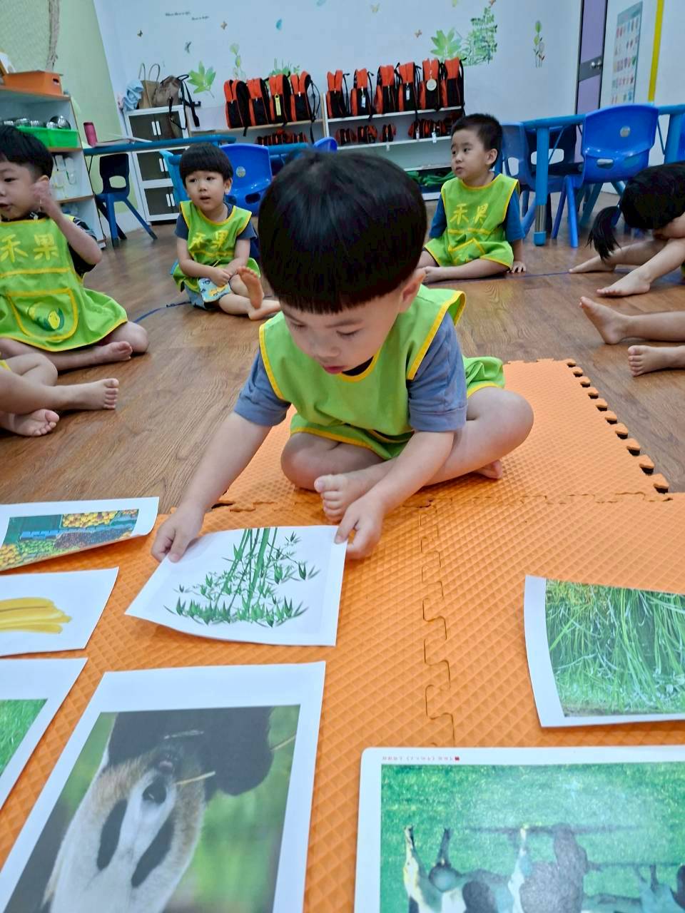 114下學期幼幼班生活分享