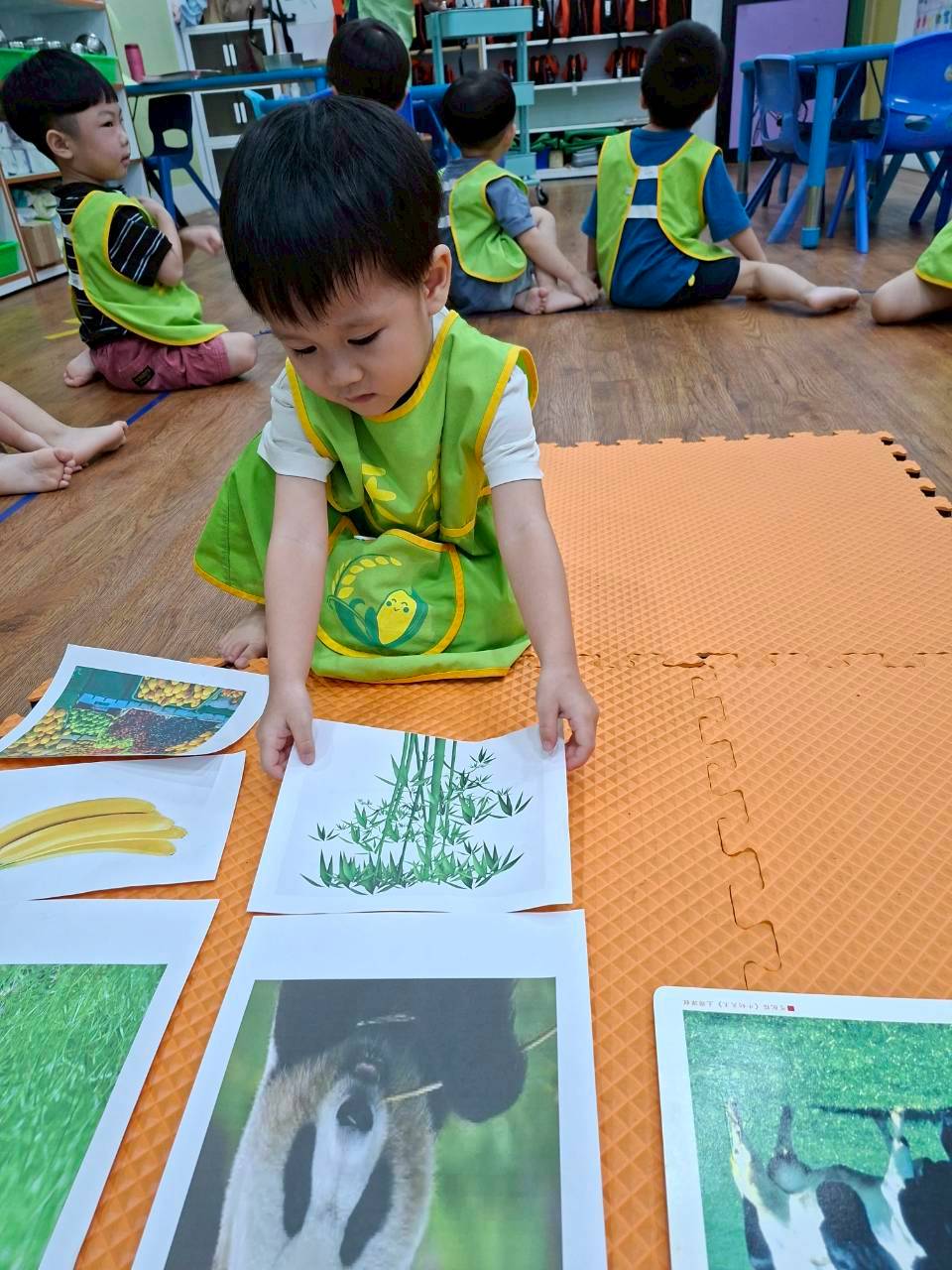 114下學期幼幼班生活分享