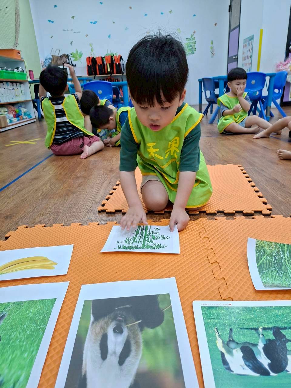 114下學期幼幼班生活分享