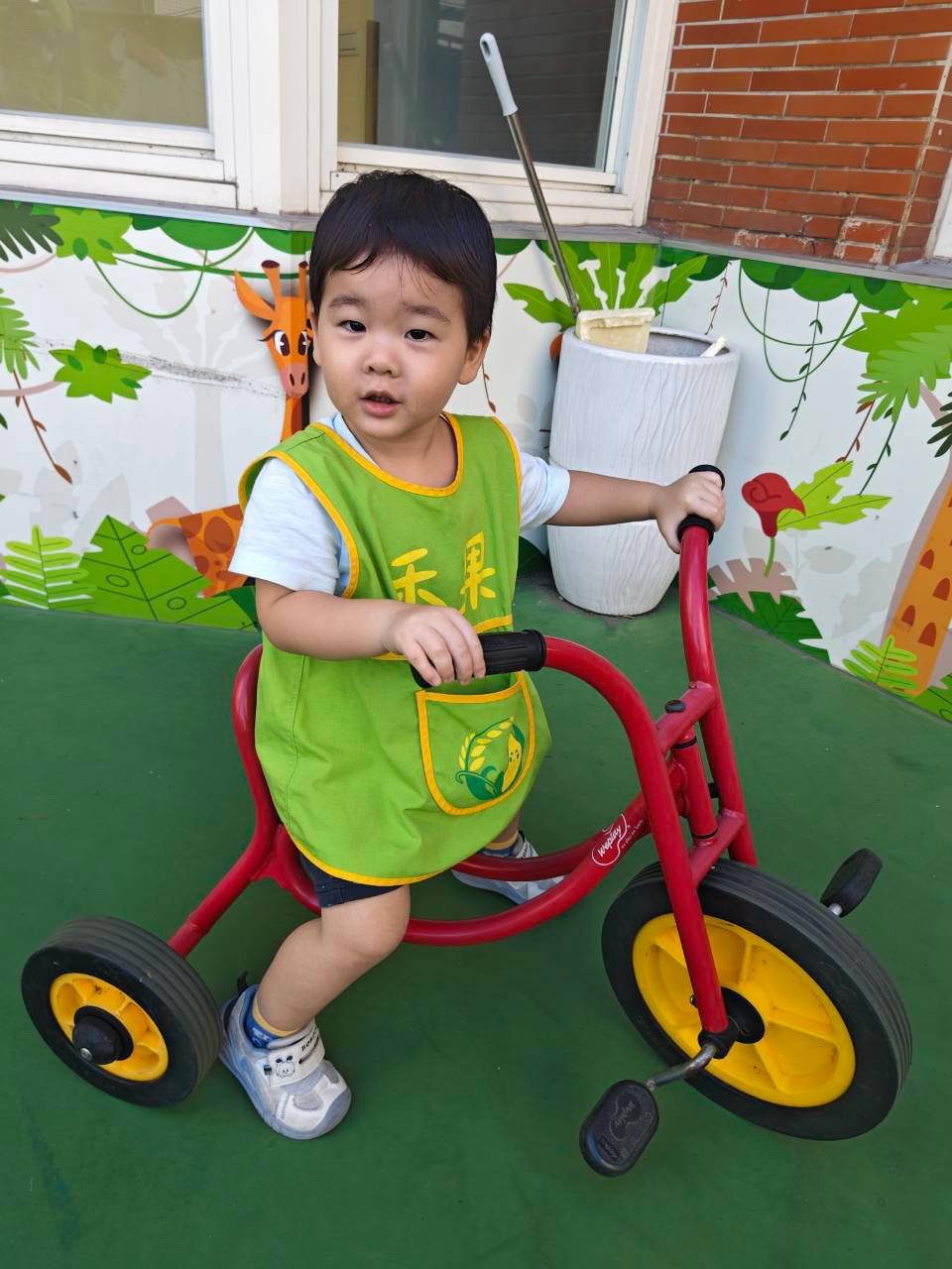 115上學期可愛幼幼生活花絮