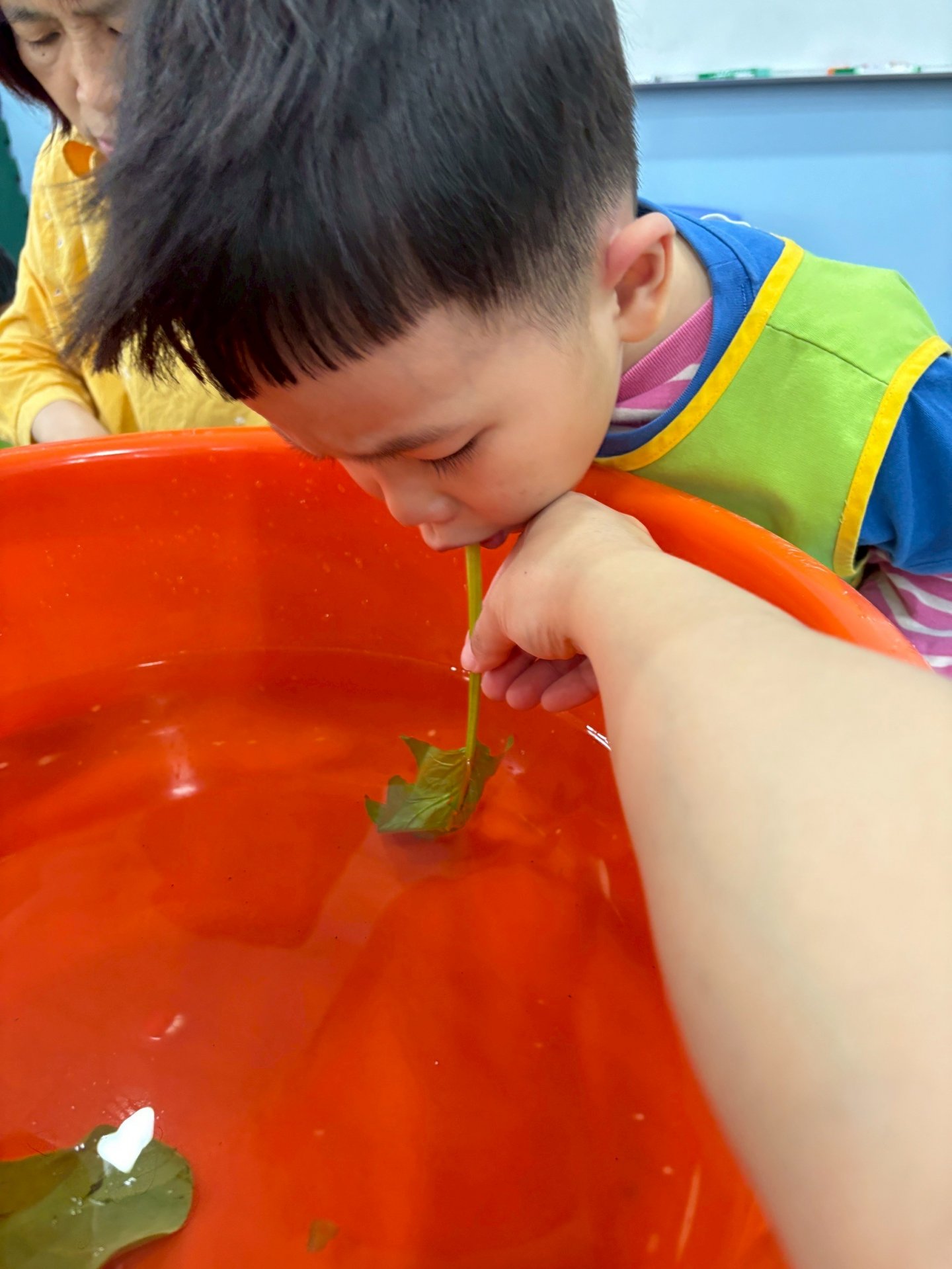 113下學期小班生活花絮