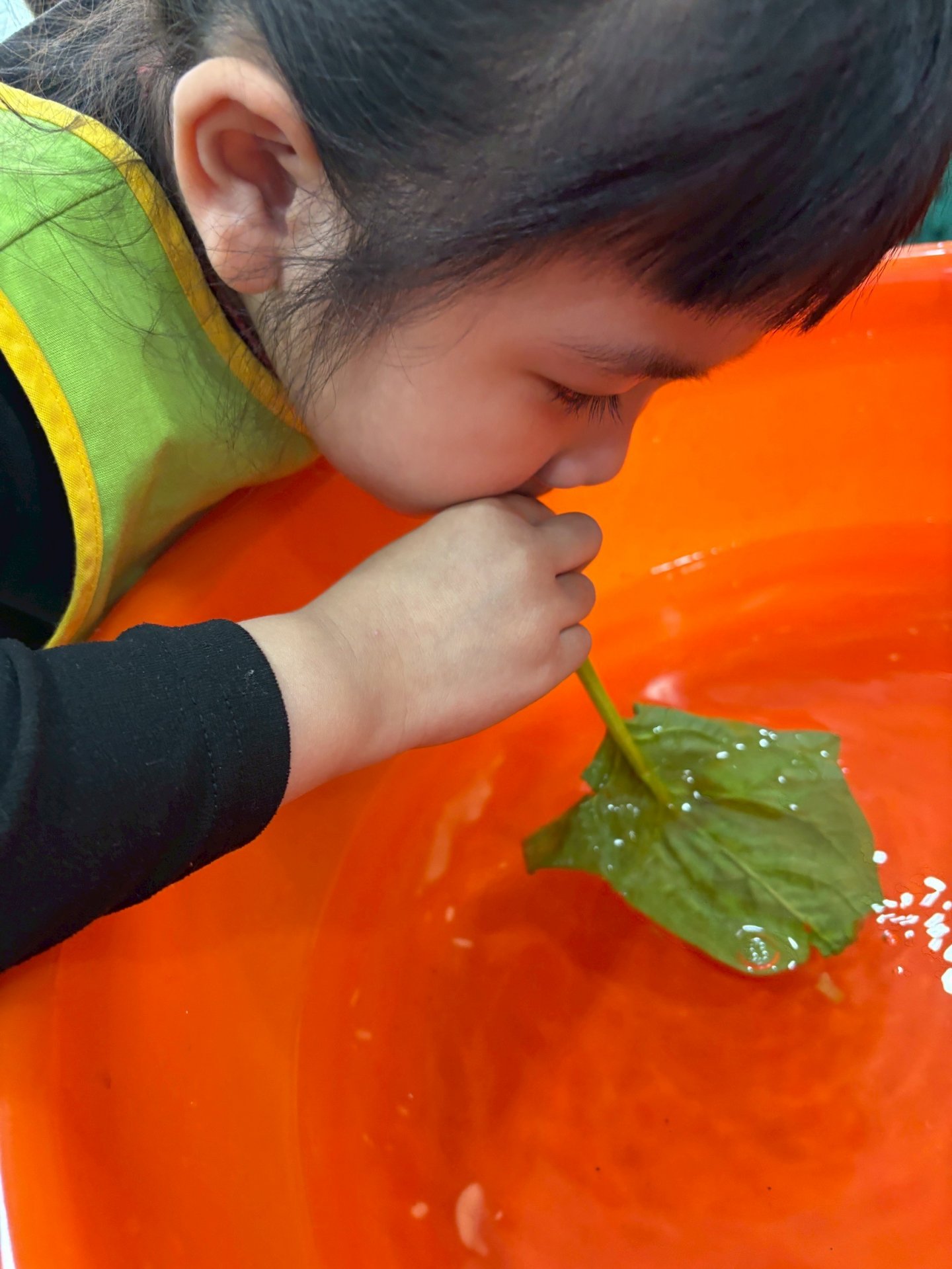 113下學期小班生活花絮