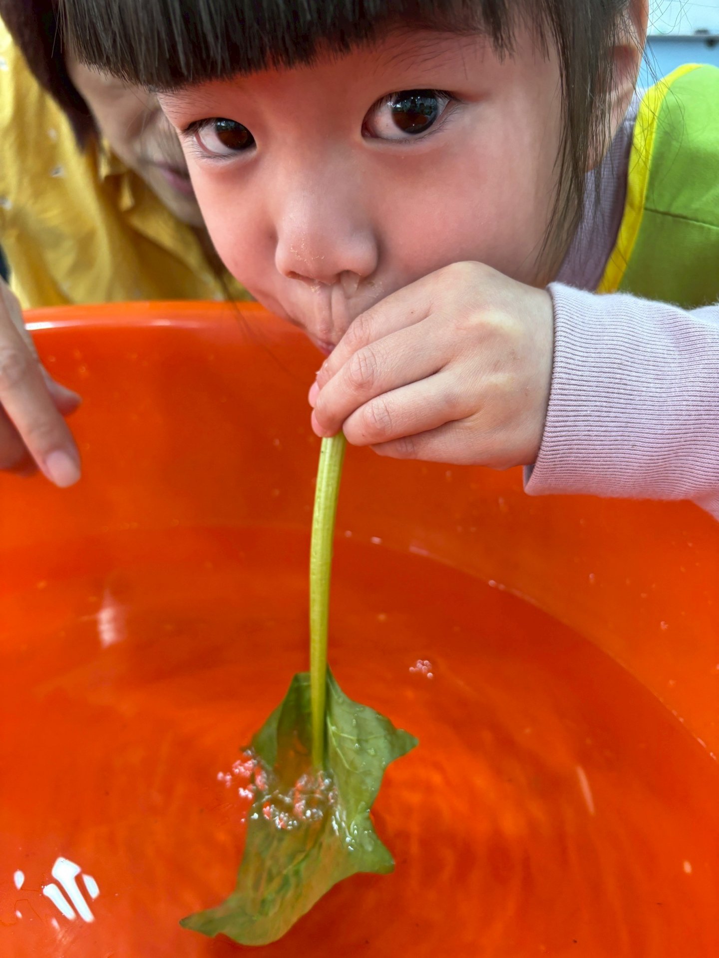 113下學期小班生活花絮