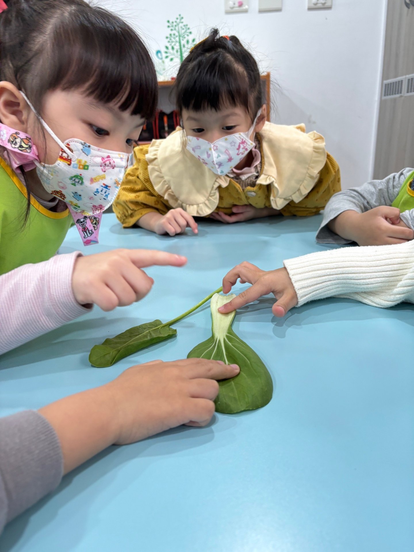 113下學期小班生活花絮