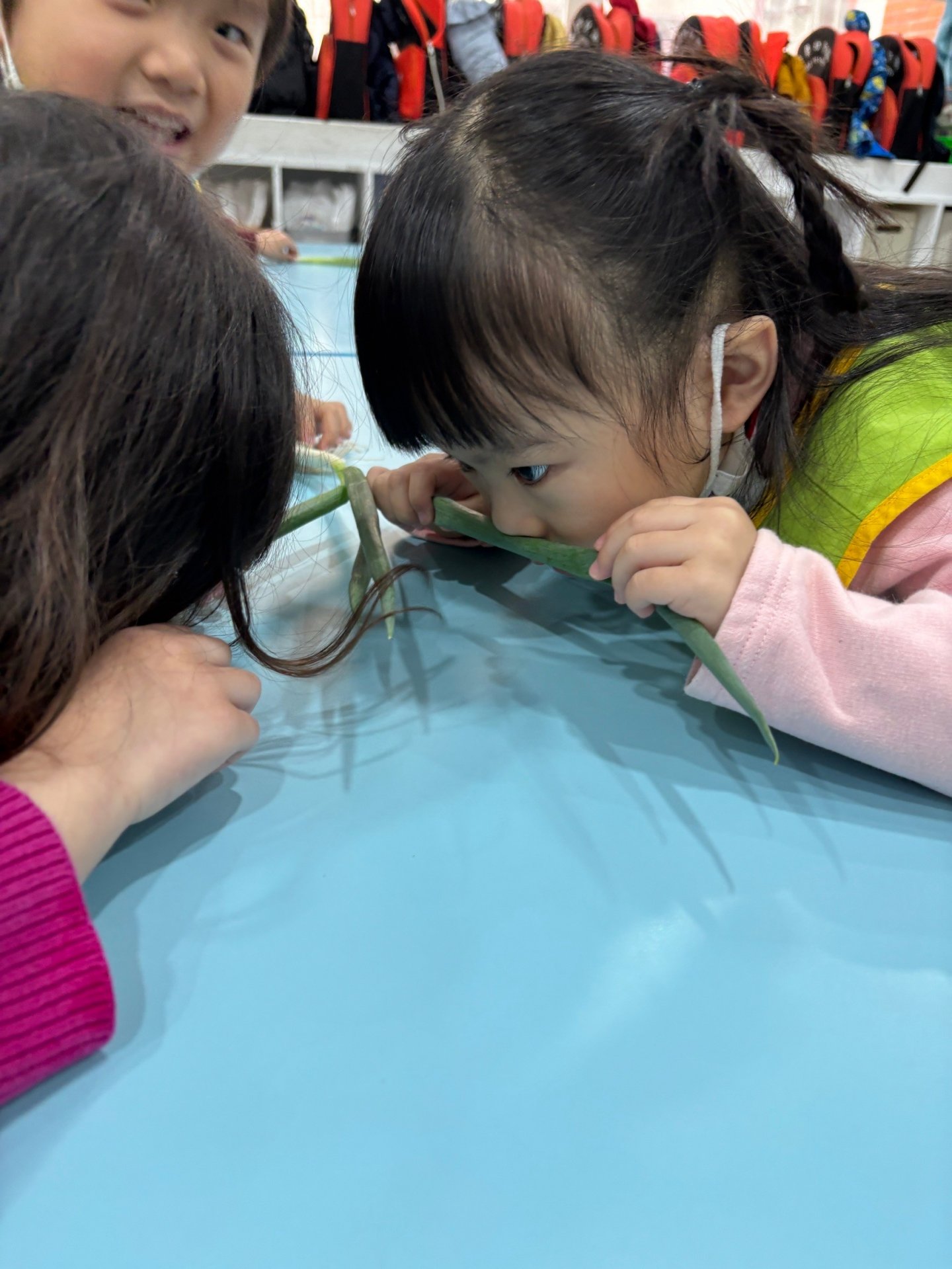 113下學期小班生活花絮