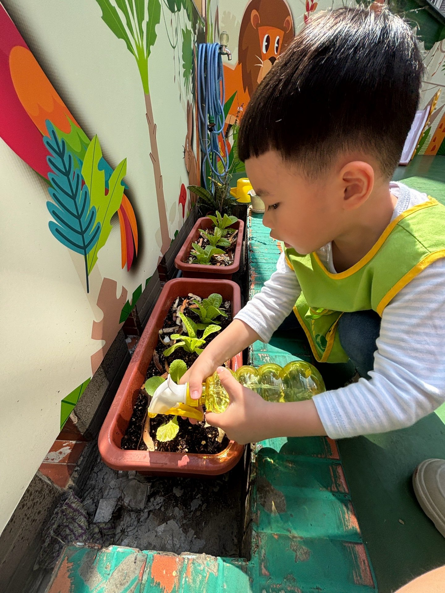 113下學期小班生活花絮