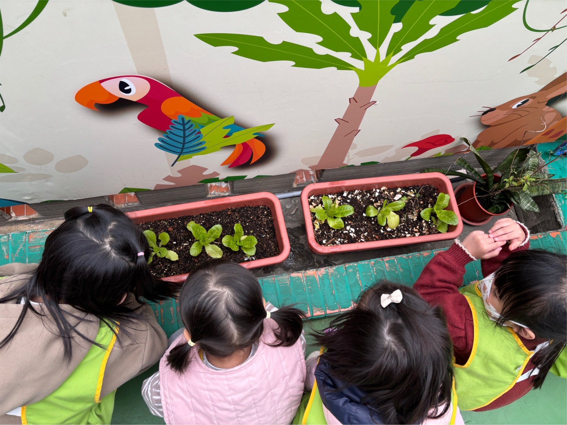 113下學期小班生活花絮