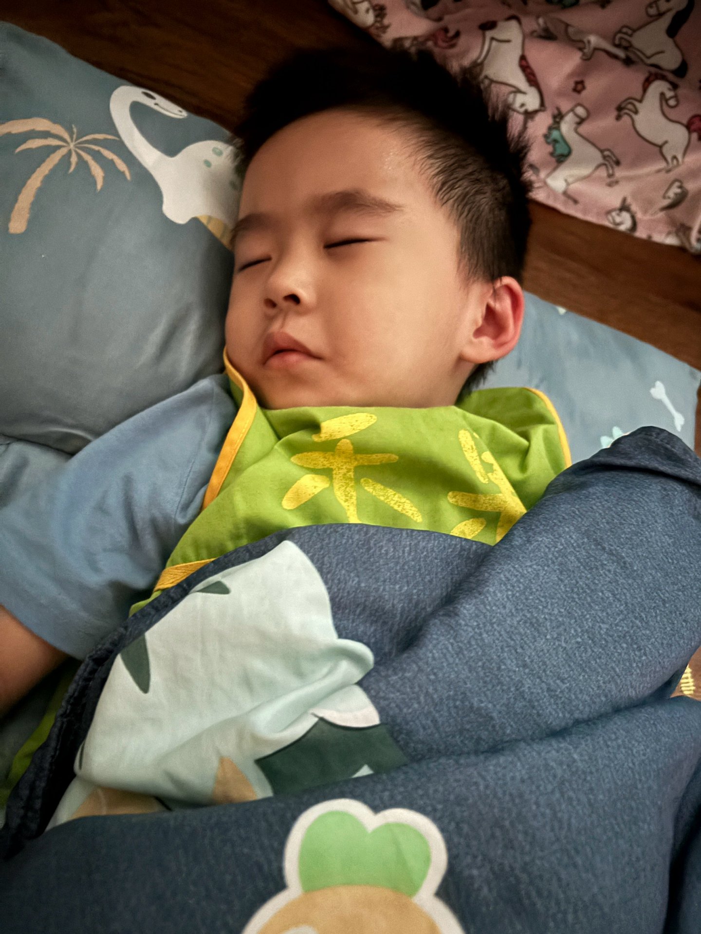115上學期小班生活花絮