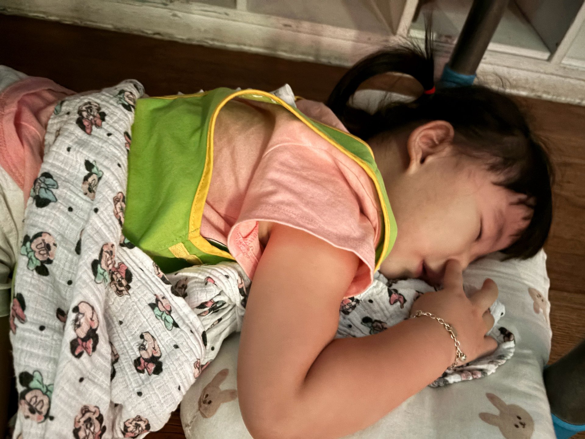 115上學期小班生活花絮