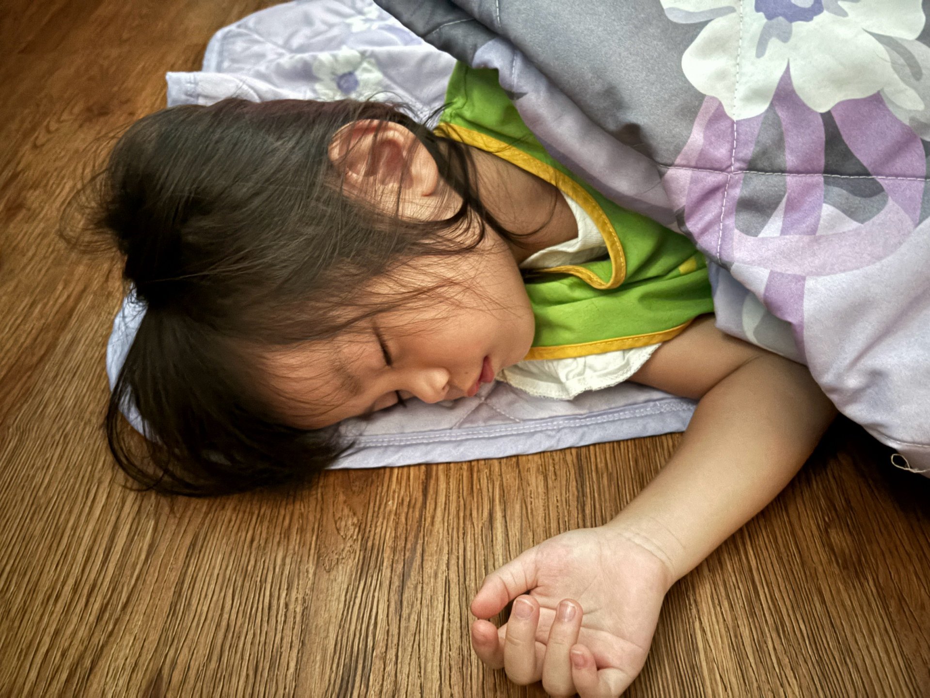 115上學期小班生活花絮