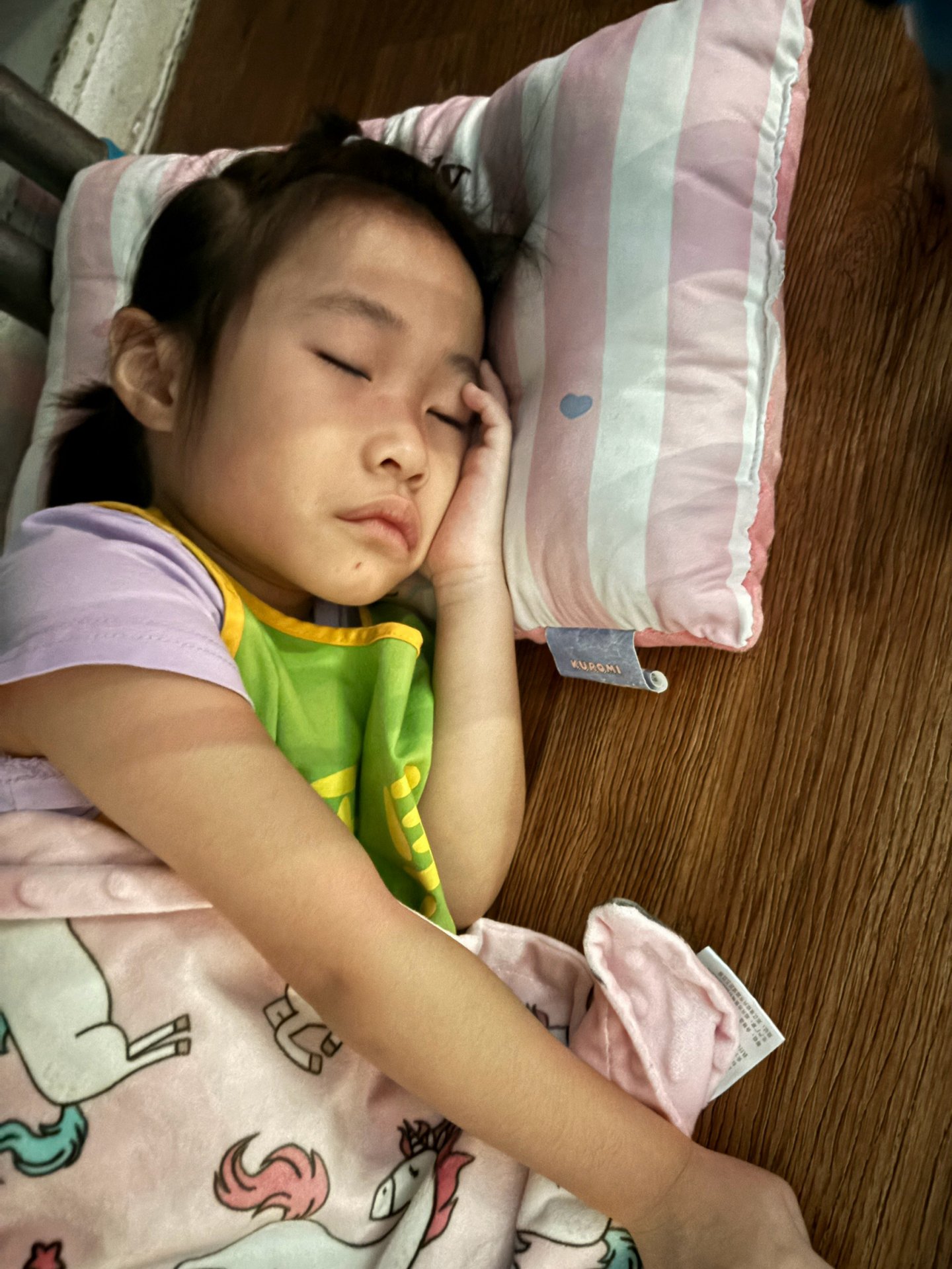 115上學期小班生活花絮