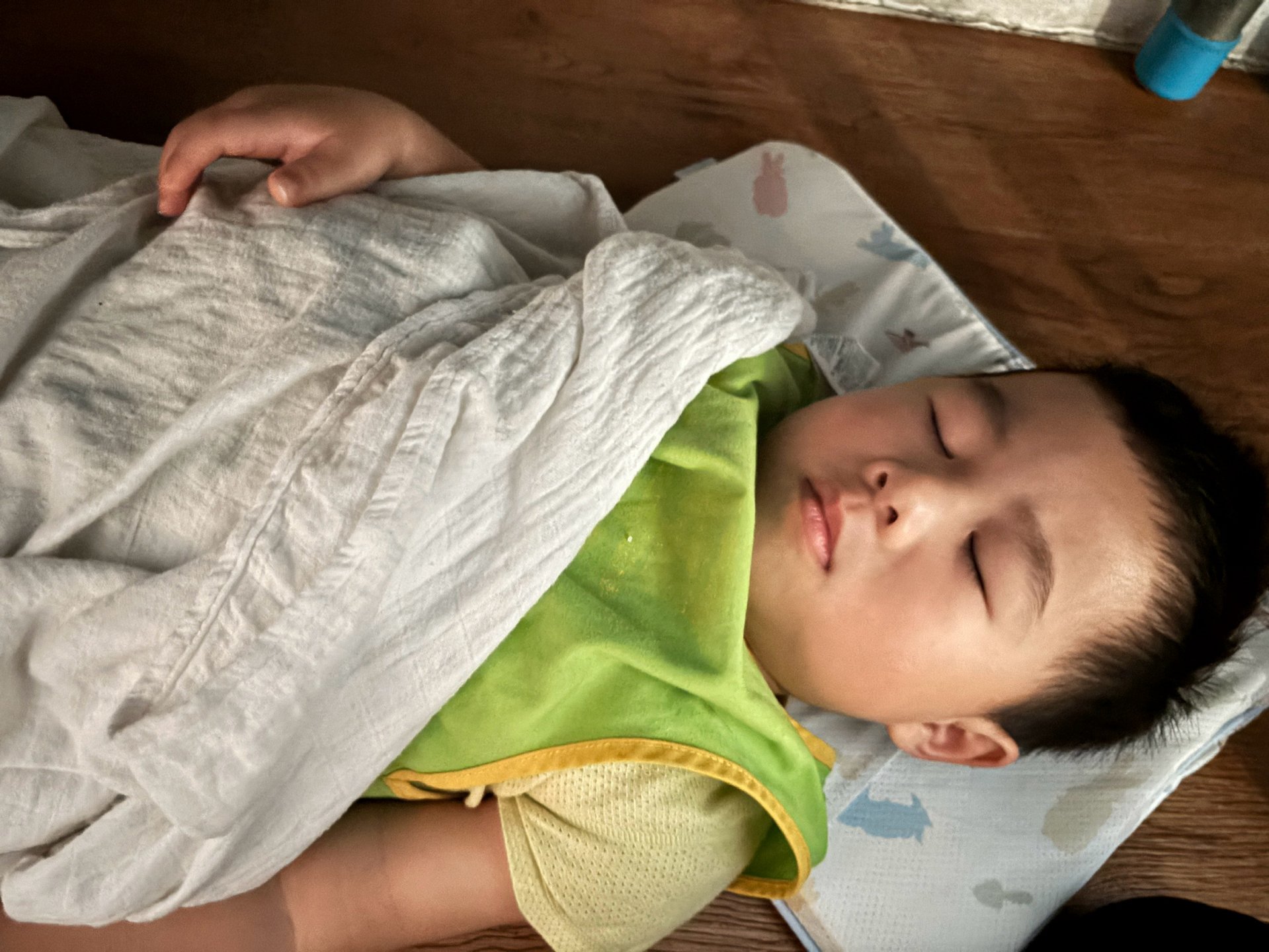 115上學期小班生活花絮