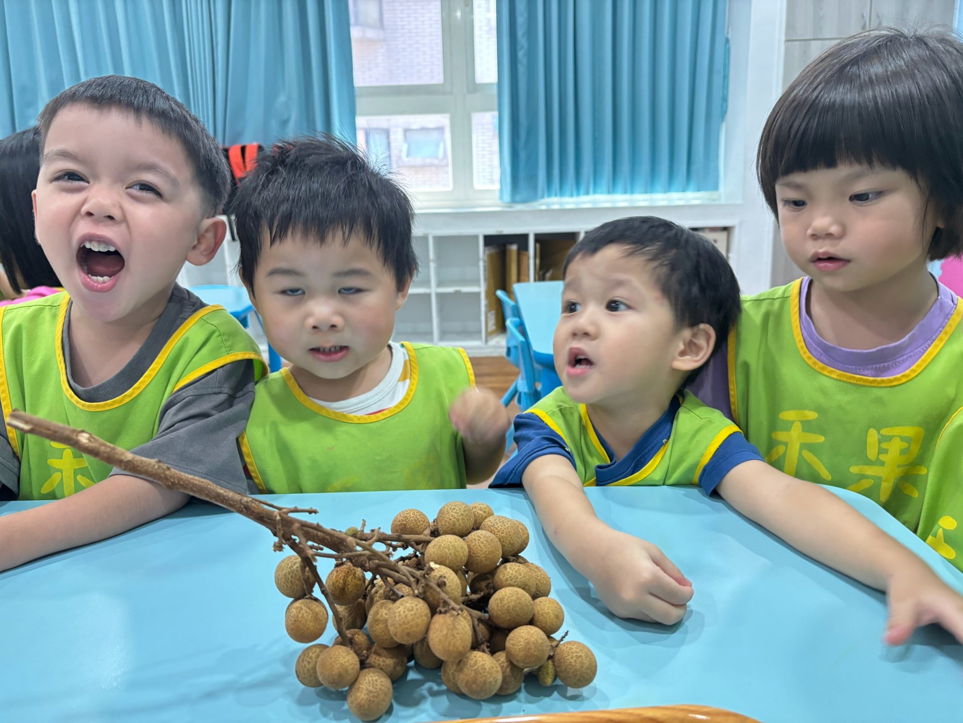 115上學期小班生活花絮