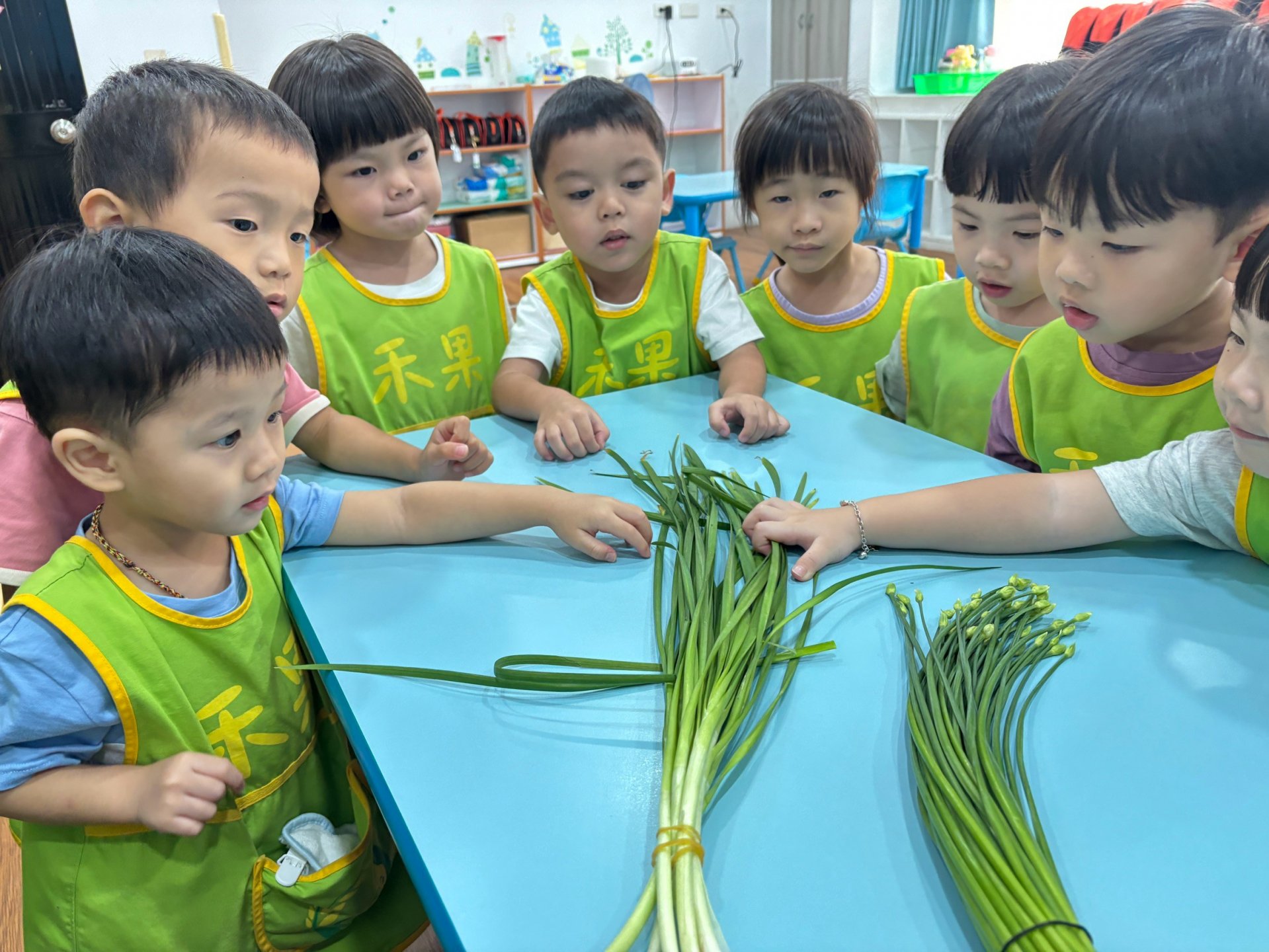 115上學期小班生活花絮