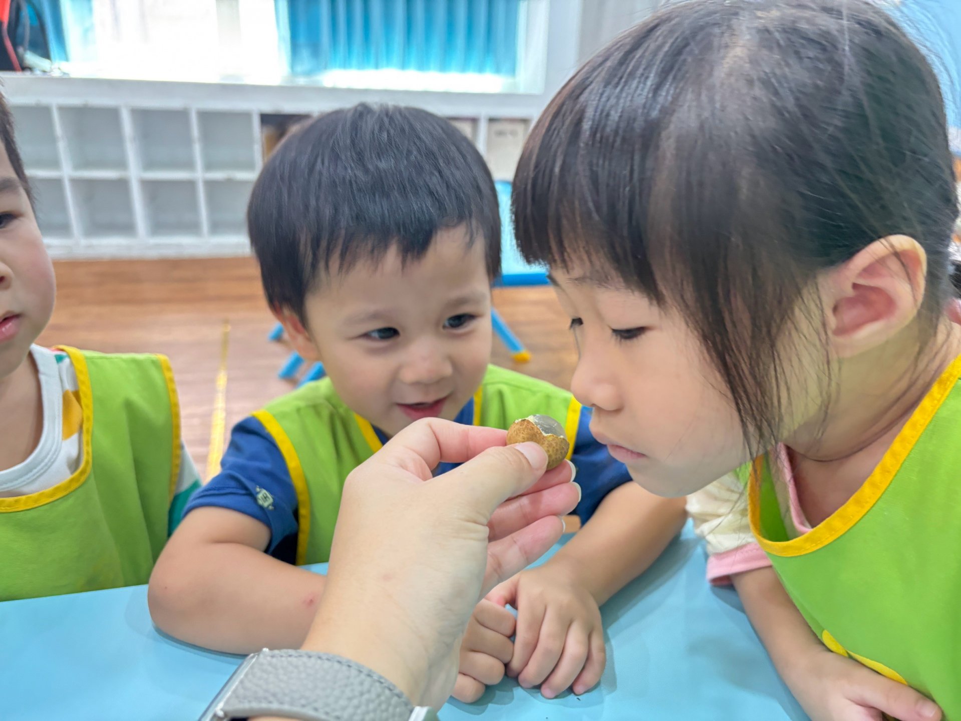 115上學期小班生活花絮
