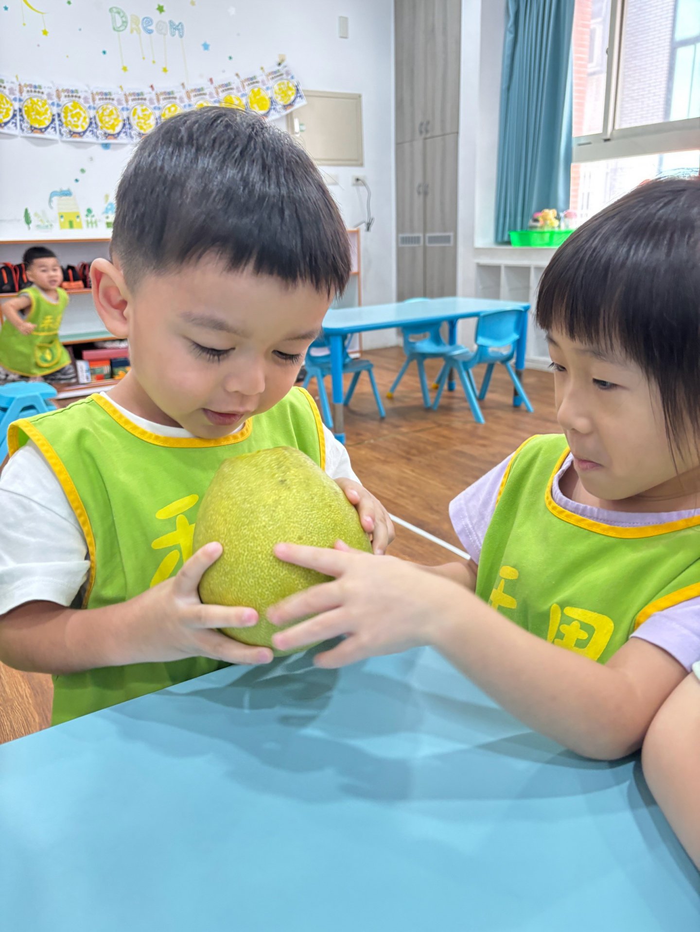 115上學期小班生活花絮