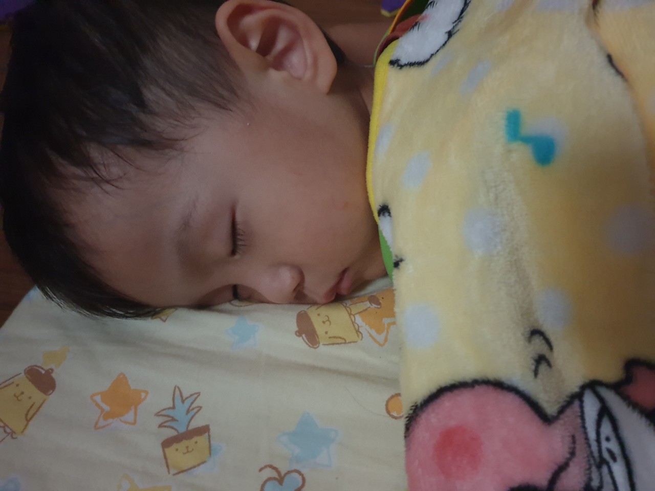 禾果小小新生上學去