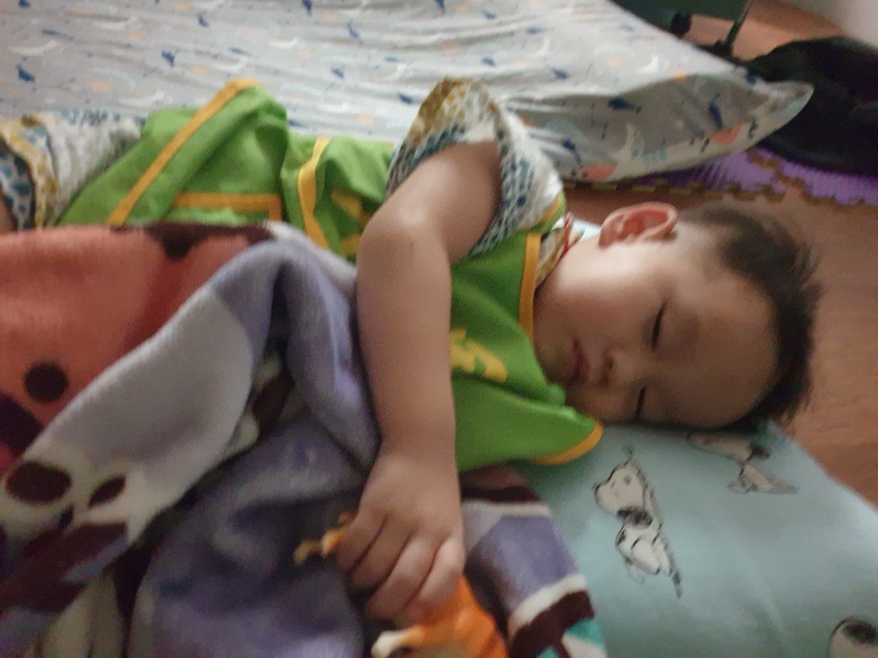 禾果小小新生上學去