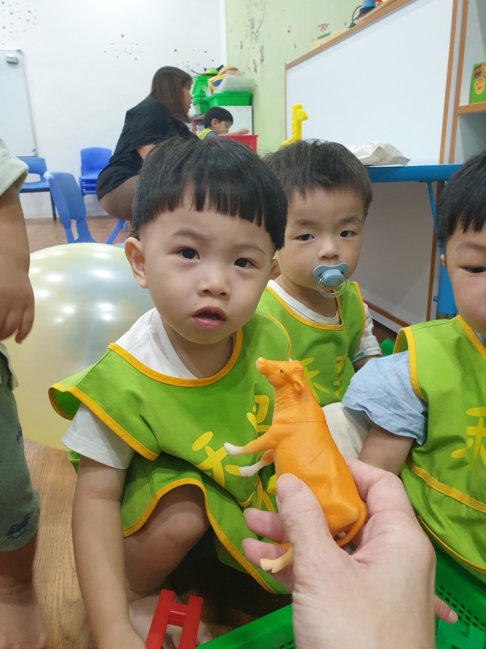 禾果小小新生上學去