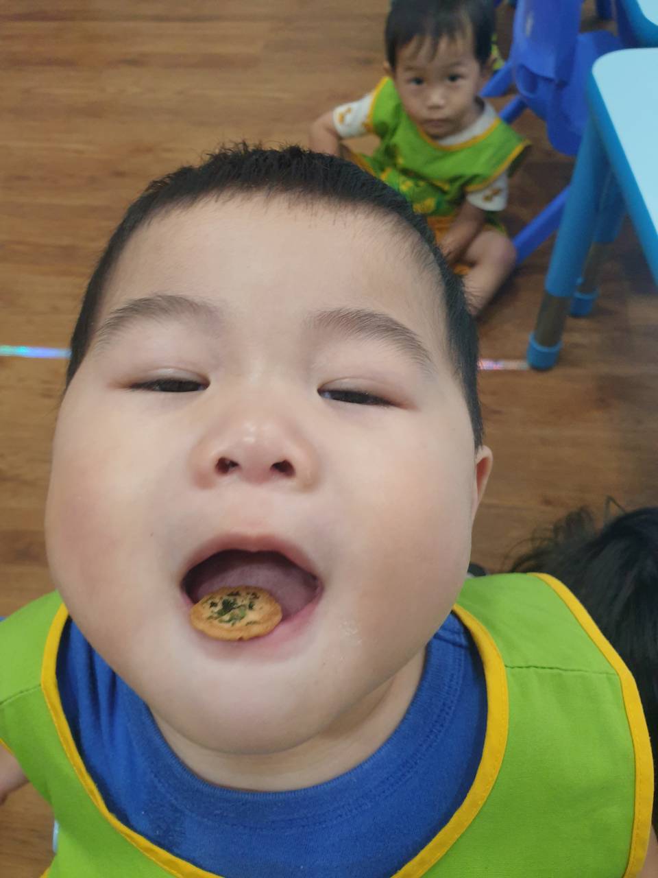 禾果小小新生上學去